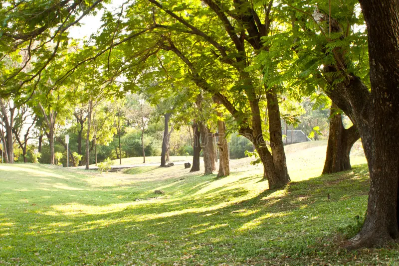 Which Type Of Weather Best Represents Your Personality?
