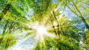 Your TikTok Scroll Pattern At Midnight Reveals Your Weather Type