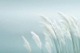 Are You A Gentle Breeze Or A Total Hurricane?