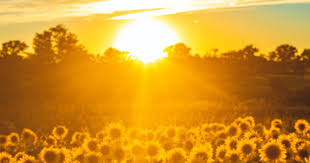 Pick Your Favorite Weather Crimes And We'll Reveal You